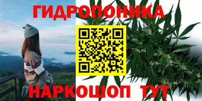 прущая мука Кимры