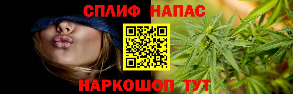 Меф мяу мяу Чайковский
